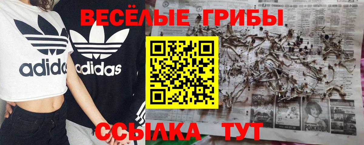 Галлюциногенные грибы мухоморы Чернушка